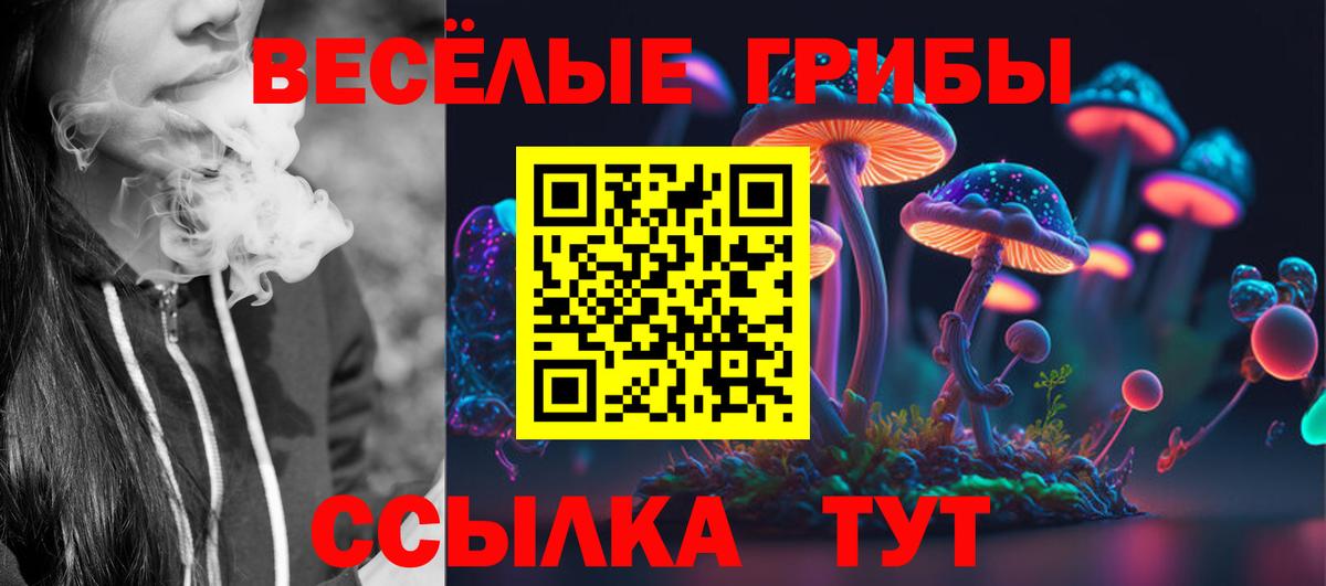 Котовск  сколько стоит  Псилоцибиновые грибы мицелий  Вход с VPN  Псилоцибиновые грибы ЛСД 