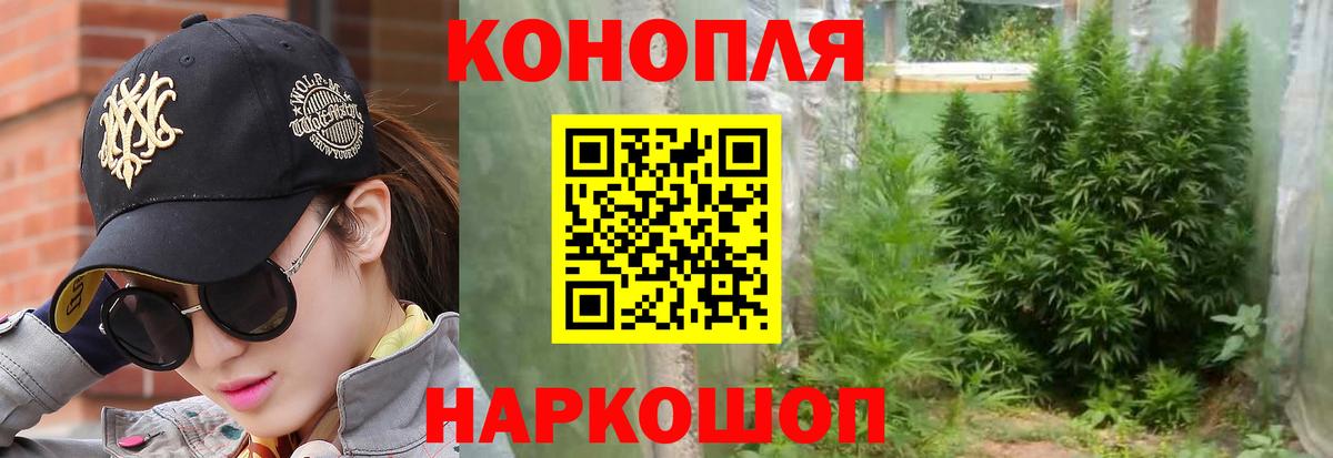 Бошки марихуана план Котовск